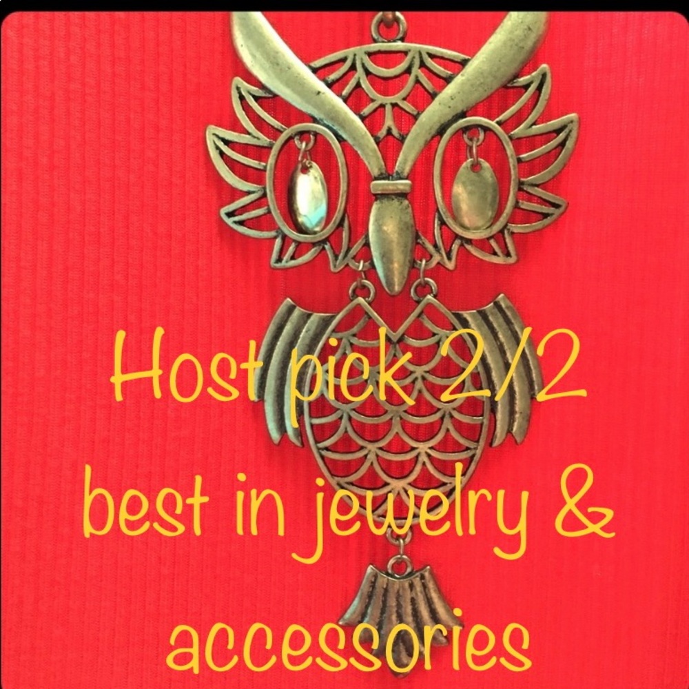 ON HOLD Adorable Brass Tone Owl Necklace - Picture 1 of 9